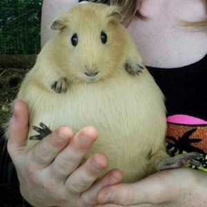 Meet your Posher, Yazmin